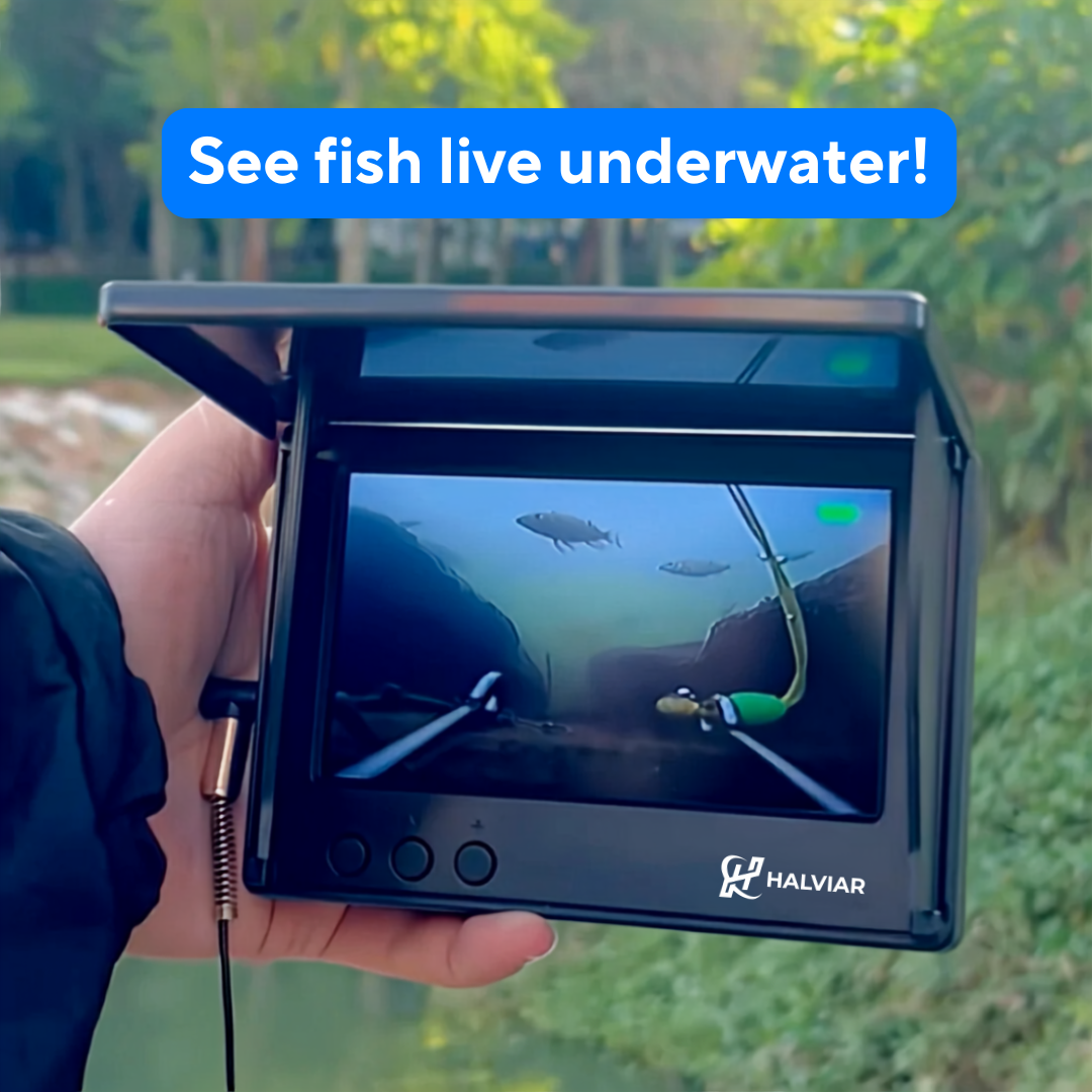 Underwater Fishing Camera