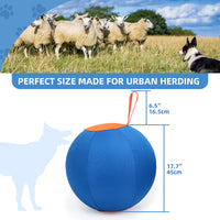 Halviar Herding Ball – Product Shot