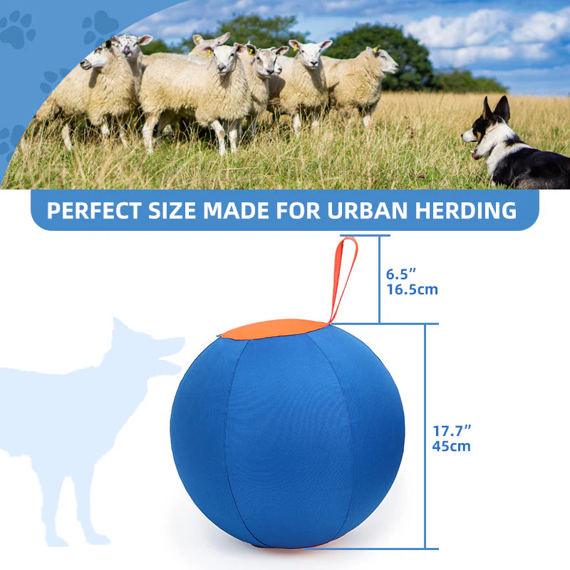 Perfect Size for Urban Herding